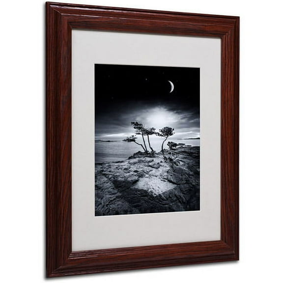 Trademark Fine Art "Emotional High" Canvas Art by Philippe Sainte-Laudy, Wood Frame