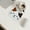 10Pack-HK3369, variant on 10 Pack Cup Pad Funny Kitty Pad Kitty Shaped Ceramic Pad Non Slip Hot Pads Silicone Rubber Cup Mats For Kitty Lovers Desk Coffee Table Dinning Room Decorations Decorative accessories