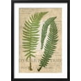 thumbnail image 2 of Art.com Fern Folio III Art Print by Vision Studio, Black Frame Wall Art, 17" x 23", 2 of 5