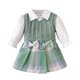 thumbnail image 2 of Conjunto de falda y camisa interior de manga larga para niña, estilo escolar de primavera, suéter sin mangas, cárdigan y falda a rayas a cuadros., 2 of 9