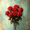 Red Rose Bouquet Vintage Floral Gift Art, variant on Qisvanset 12x16 Inch Framed Canvas Wall Art Neutral Highland Cattle Modern Country Farmhouse Home Wall Art