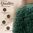 thumbnail image 3 of Dan River Bath Sheet 1 pack 40x80 in Soft Absorbent and Quick Dry jumbo Cotton Towel - Hunter Green, 3 of 10