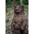 thumbnail image 2 of Hi-Line Gift Ltd. Standing Mother & Baby Brown Bears, 2 of 6