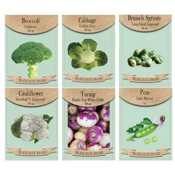 Set of 6 Cool Season Garden Seed Collection – Grow Fresh, Nutritious Vegetables for Spring & Fall – Non-GMO, Heirloom, High Germination – Broccoli, Cabbage, Peas & More