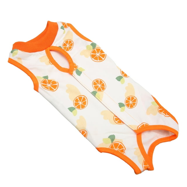Costume de Récupération pour Chat, Costume de Récupération Respirant en Coton, Enveloppe Corporelle de Récupération pour Chaton, Vêtements de Récupération de Première Classe
