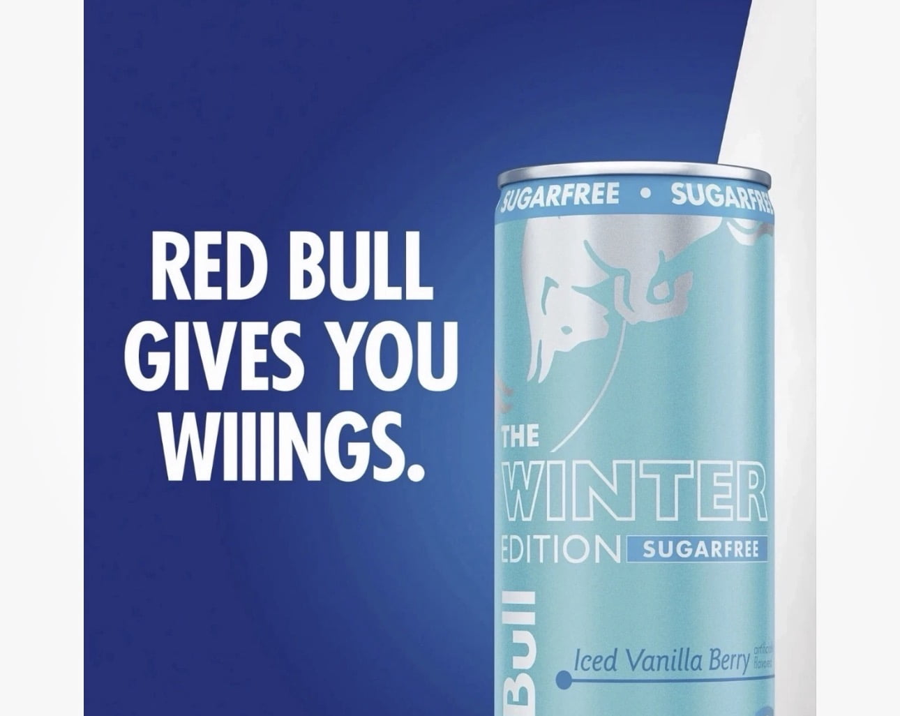 Red Bull Winter Edition Energy Drink Iced Vanilla Berry Sugar Free 4 Pack 12 fl oz