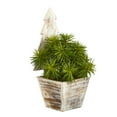 thumbnail image 6 of Nearly Natural 15in. Succulent Artificial Plant in Christmas Tree Planter, 6 of 7