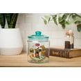 thumbnail image 3 of Tarro de cristal plateado con diseño de comida de Buffalo Scooby Doo, 15 cm, con tapa, 3 of 3