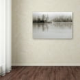 thumbnail image 3 of Trademark Fine Art 'Dissolution' Canvas Art by Henrik Spranz, 3 of 3