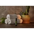 thumbnail image 2 of doTERRA Melaleuca Tea Tree Essential Oil Roll On - 10 mL | Tea Tree Roll On for Skin, 2 of 4