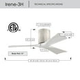 thumbnail image 6 of Matthews Fan Company IR3H-BW-MWH-42 Irene 42" Barn Wood Hugger Ceiling Fan with 3 Matte White Blades, Remote and Wall Control, Indoor/Outdoor Damp Rated, 6 of 6