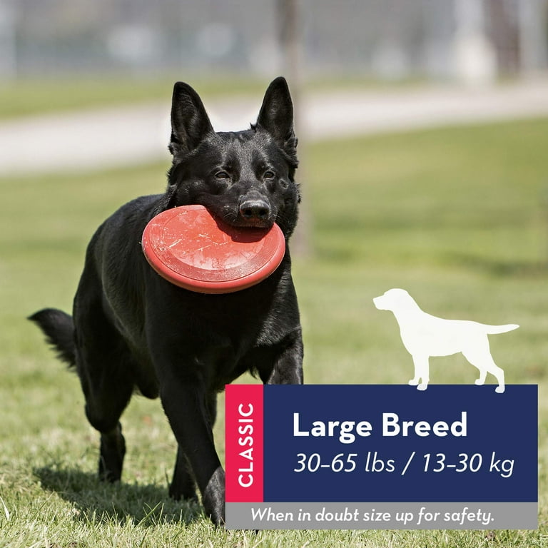 Flying disc dog toy cheap