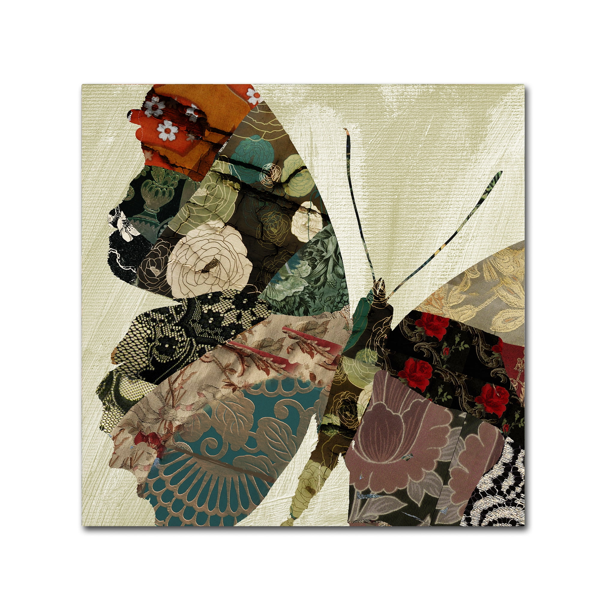 Trademark Fine Art "Butterfly Brocade III" Canvas Art by Color Bakery