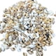 thumbnail image 1 of Conchas marinas de varios tamaños Playa mixta Concha natural Cowrie Beadshells para, 1 of 8
