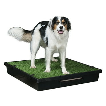 PetSafe Pet Loo Portable Dog Potty - Pet Tolet Alternatve For Puppy