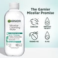 thumbnail image 3 of Garnier SkinActive Micellar Cleansing Water All in 1 Salicylic Acid Pore Minimizer Makeup Remover, Face Cleanser, 13.5 fl oz, 3 of 7