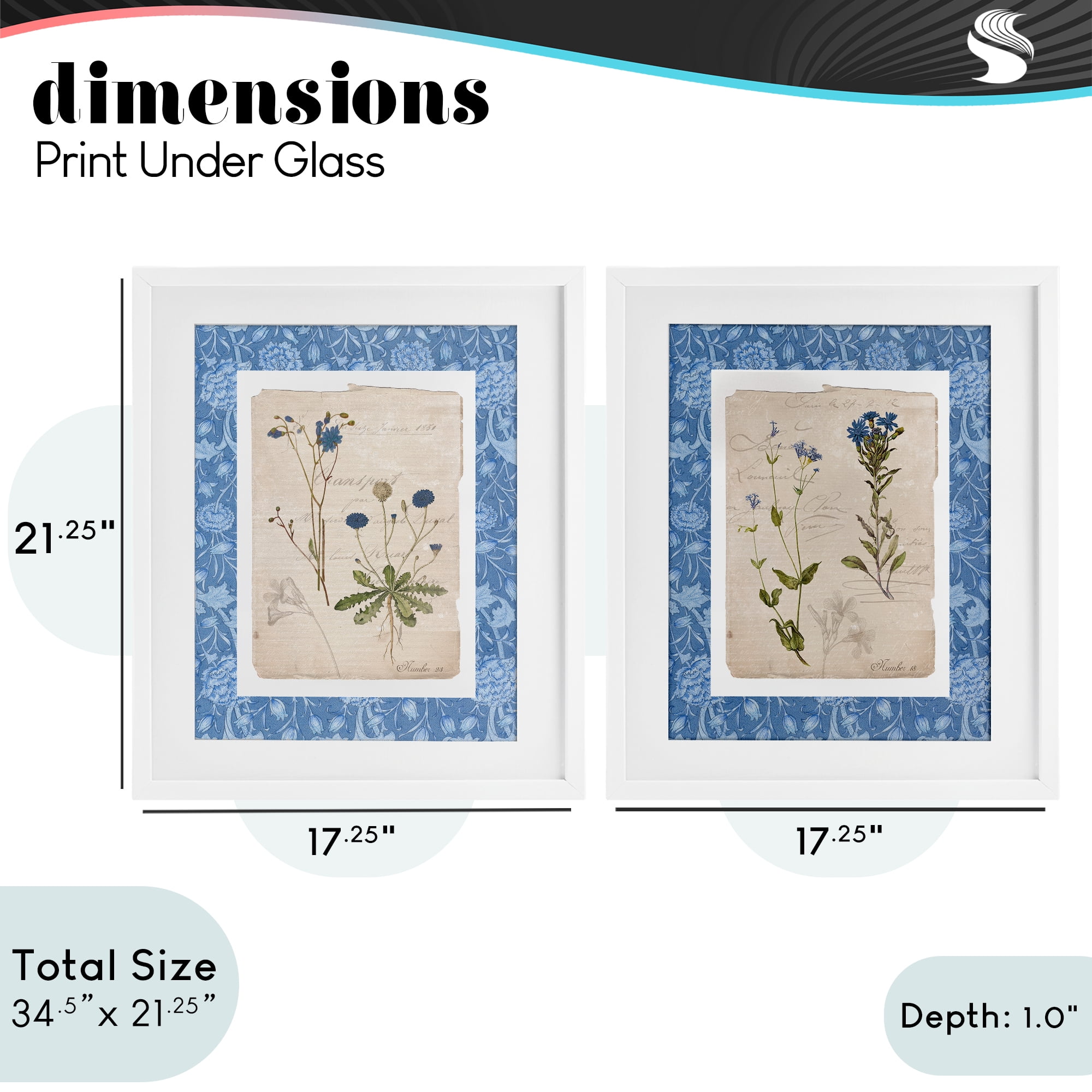 Stupell Industries Blue Botanical Herbs 2 Piece White Framed Print Under Glass Set, design by Livi Finn