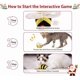 thumbnail image 3 of Crunchy Neck Bear Dog Toy, 3 of 5