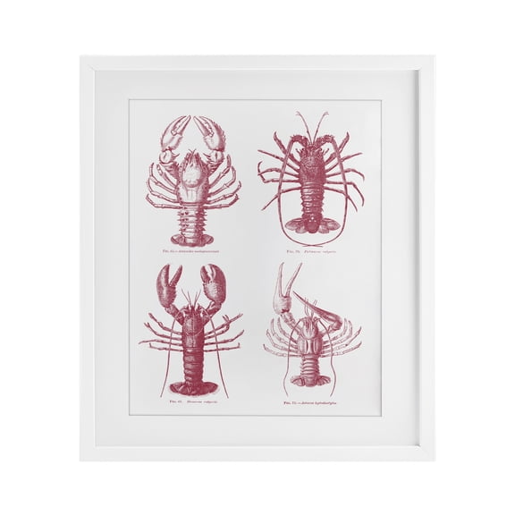 Stupell Industries Coastal Timeless Lobsters Species White Framed Print Under Glass, 17 x 21, by Lettered and Lined