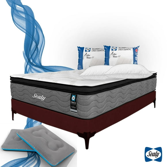 Colchón Queen Size Anti-Microdespertares+ Box Queen Size + Camita para Mascota + 2 Almohadas Sealy. Sealy Ortopédico Benno