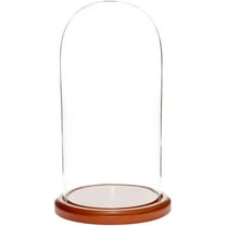 Plymor 5.5" x 11" Glass Display Dome Cloche (Walnut MDF Base)
