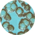 thumbnail image 1 of Ahgly Company Indoor Round Patterned Hazel Green Area Rugs, 8' Round, 1 of 1
