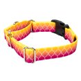 thumbnail image 4 of Country Brook Petz® Fabulous Ombre Martingale with Plastic Buckle Limited Edition, Extra Small, 4 of 5