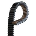 thumbnail image 3 of Ultimax UA412 Ceinture (pour applications Polaris (94-14)), 3 of 4