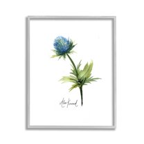 Stupell Industries Simple Thistle Watercolor Botanical & Floral Painting Gray Framed Art Print Wall Art, 11 x 14