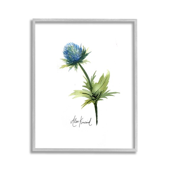 Stupell Industries Simple Thistle Watercolor Botanical & Floral Painting Gray Framed Art Print Wall Art, 11 x 14