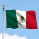 thumbnail image 5 of ¡La Bandera Nacional Mexicana Es Imprescindible Para Las Celebraciones! Tejido De Colores Vivos, Apto Para Decoración Interior Y Exterior, ¡Para Que Tu Fiesta Sea Más Festiva!, 5 of 7