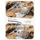 thumbnail image 3 of MAGIC JOHN Funda Magnética para iPhone 17 Pro con Soporte Plegable y Protección de Lente, 3 of 9