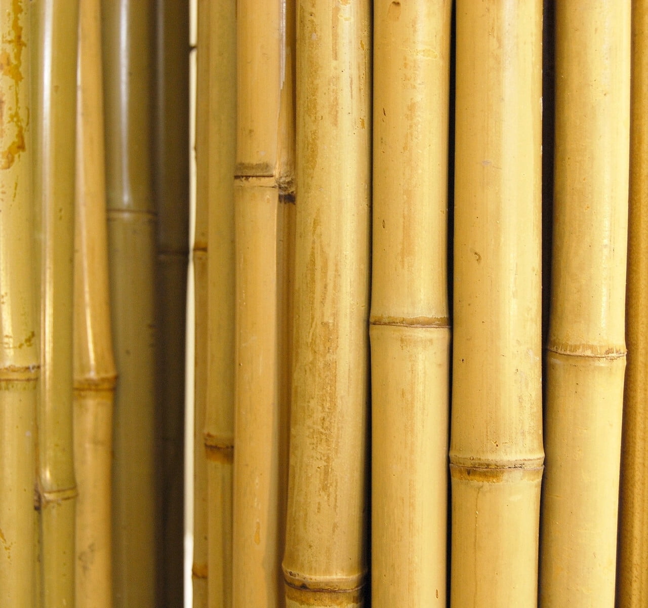 24" H x 96" L Natural Bamboo Fencing for Yard Garden Beds Balcony Privacy Screen Backyard Fence Decor