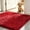 Bright Red, variant on Ultra Absorbent Chenille Entrance Door Rug, Non Slip Grippy Pet Rug for Muddy Dog Paws, Machine Washable Quick Dry Soakstopper Doormat, Dirt Trapping Entryway Carpet for Indoor Outdoor Use