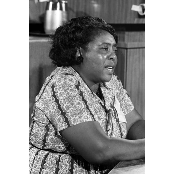 Print: Fannie Lou Hamer, Mississippi Freedom Democratic Party Delegate ...