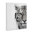 thumbnail image 2 of Stupell Industries Bohemian White Tiger Close Up Black and White Photography Canvas Art, 16 x 20, by Design Fabrikken, 2 of 7