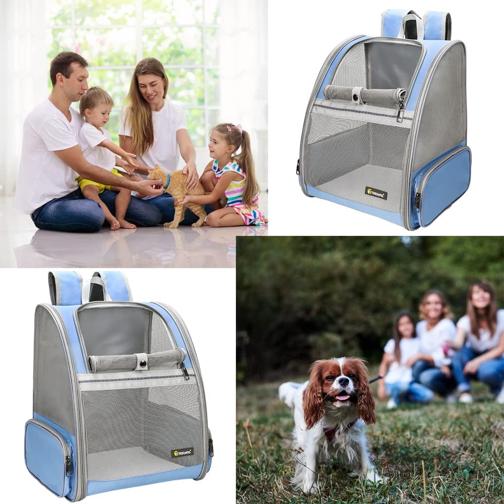 Pet Carrier Backpack with Window Blind for Small Cats Dogs, Ventilated Design, Safety Straps, Buckle Support, Collapsible, Designed for Travel, Hiking, Winter Outing, Outdoor, Go to Vet