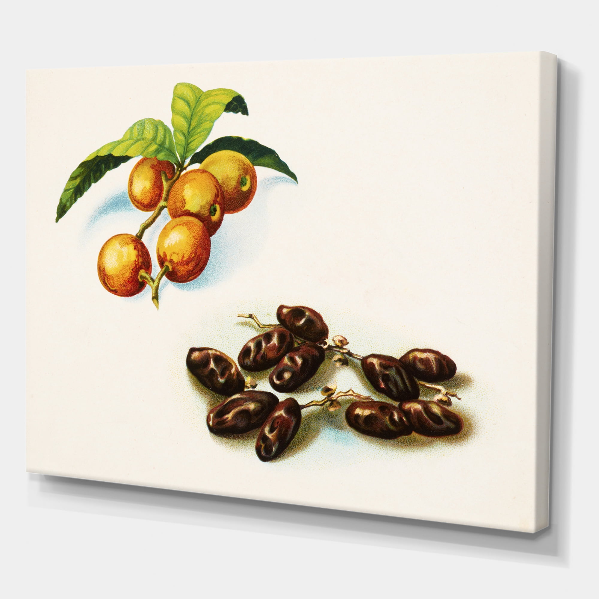 Designart ' Ancient Fruits IV ' Farmhouse Canvas Wall Art Print