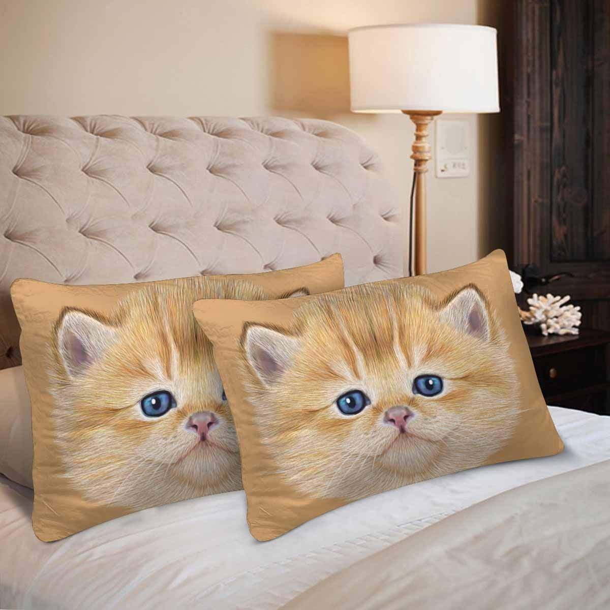 GCKG Portrait of Domestic Kitten Cute Peach Kitten Cat Pillow Cases