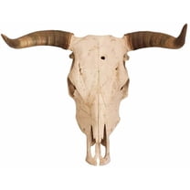 Longhorn Skull Edible Icing Sheets- Assorted Image Cake Toppers-Frosting Sheets- Cookies- Cupcake Toppers (1/4 Sheet)