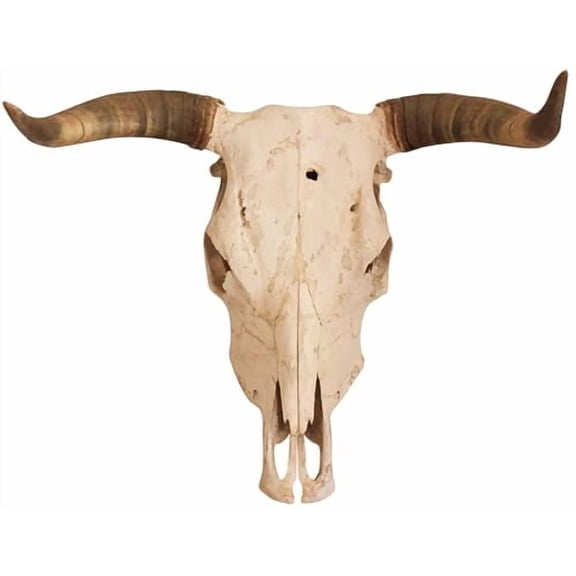 Longhorn Skull Edible Icing Sheets- Assorted Image Cake Toppers-Frosting Sheets- Cookies- Cupcake Toppers (1/4 Sheet)