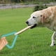 thumbnail image 4 of Juguete para masticar perros Colco Cuerda para masticar dientes verde, 4 of 7