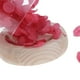 thumbnail image 3 of Flor seca en botella perfecl MicroLandscape rojo, 3 of 8