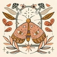 thumbnail image 2 of Wang, Melissa 12x12 White Modern Wood Framed Museum Art Print Titled - Luna Moths II, 2 of 4