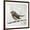 Brown Frame, variant on Art.com Robin on Wire Art Print by Angela Moulton, 30" x 30"