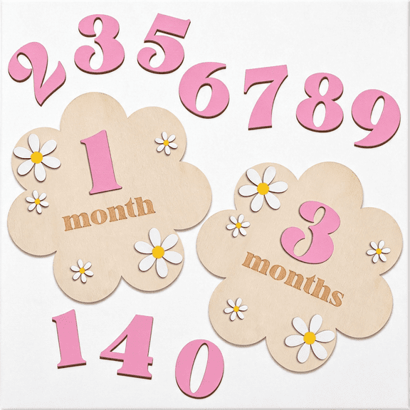 BESTSKY 3D Daisy Baby Monthly Milestone Sign Cards,Pink|1-12 Months Interchangeable Photo Props,Double-Sided Wooden Discs Announcement Sign for Girl Boy Baby Shower Newborn Gifts