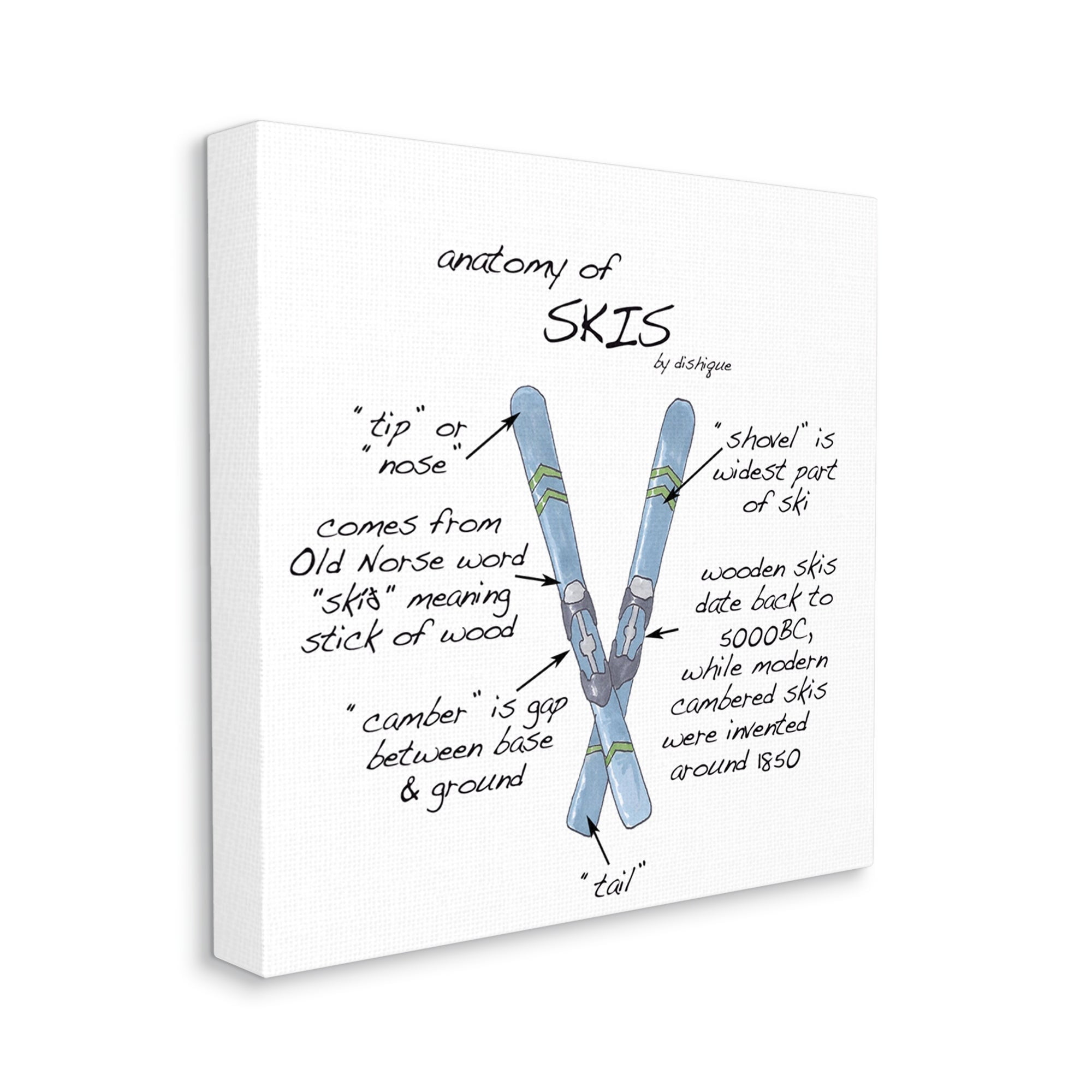 Stupell Industries Anatomy of Skis Winter Sports Diagram Facts Chart Graphic Art Gallery Wrapped Canvas Print Wall Art, Design by Dishique