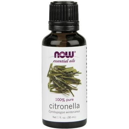 NOW? Essential Oils - Citronella Oil - 1 fl. oz (30 ml) by NOW