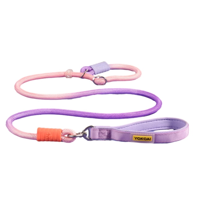 Slip Lead Dog Leash 5Ft Heavy Duty Rope Leash No Pull Pet Training Lead Slip Leash for Large Medium Dogs