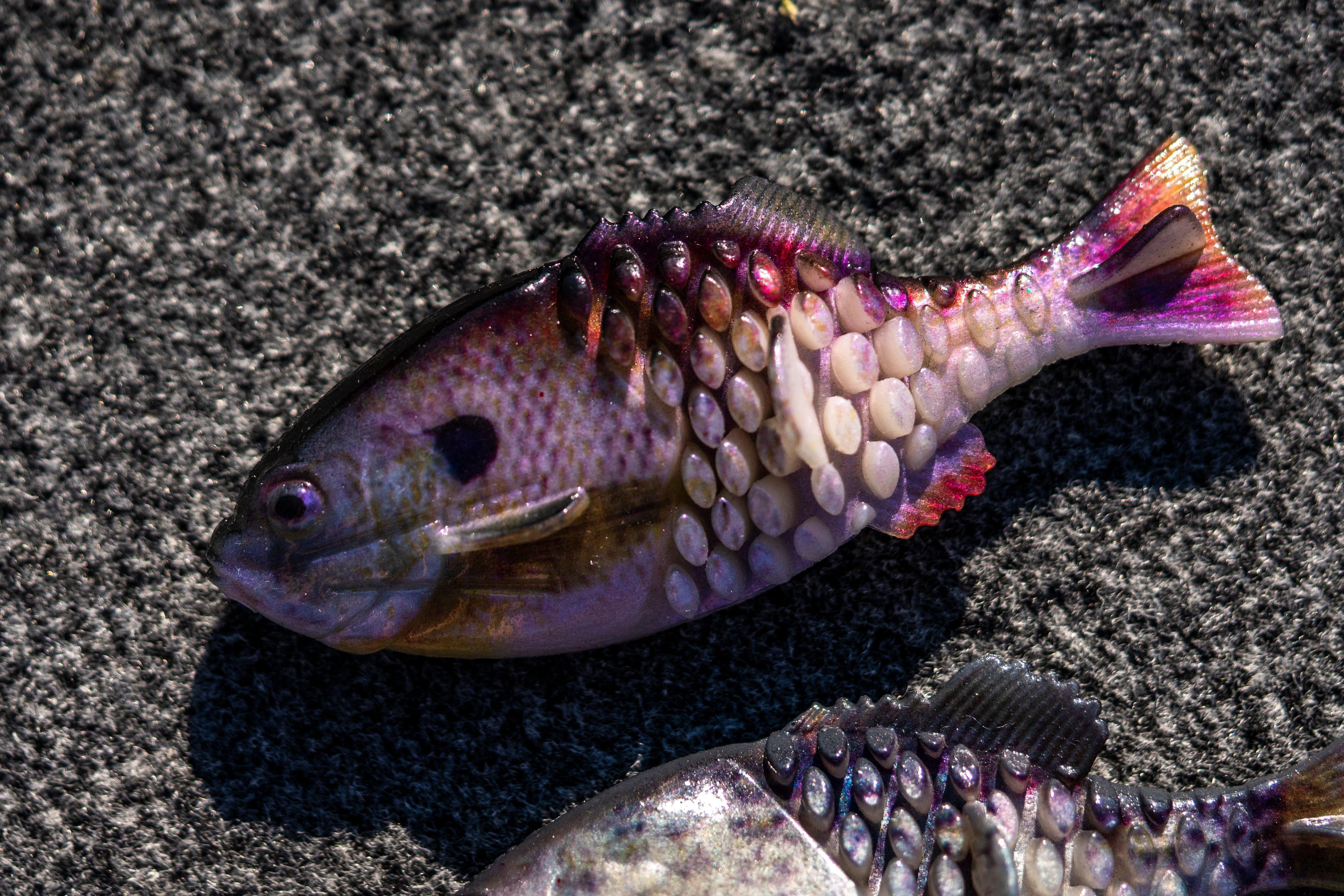 Berkley PowerBait® Gilly Soft Bait - Pumpkinseed